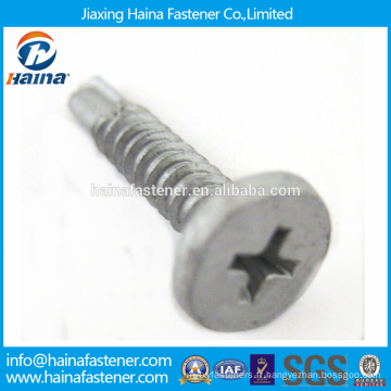 Fournisseur en Chine Meilleur prix en stock Acier inoxydable ss304 / ss316 Cross Creess Pancake Head Screw